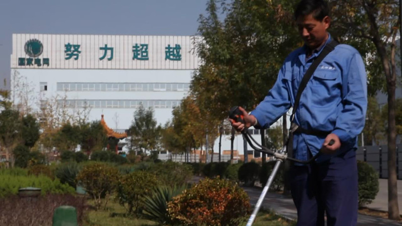 綠化人員工作現場