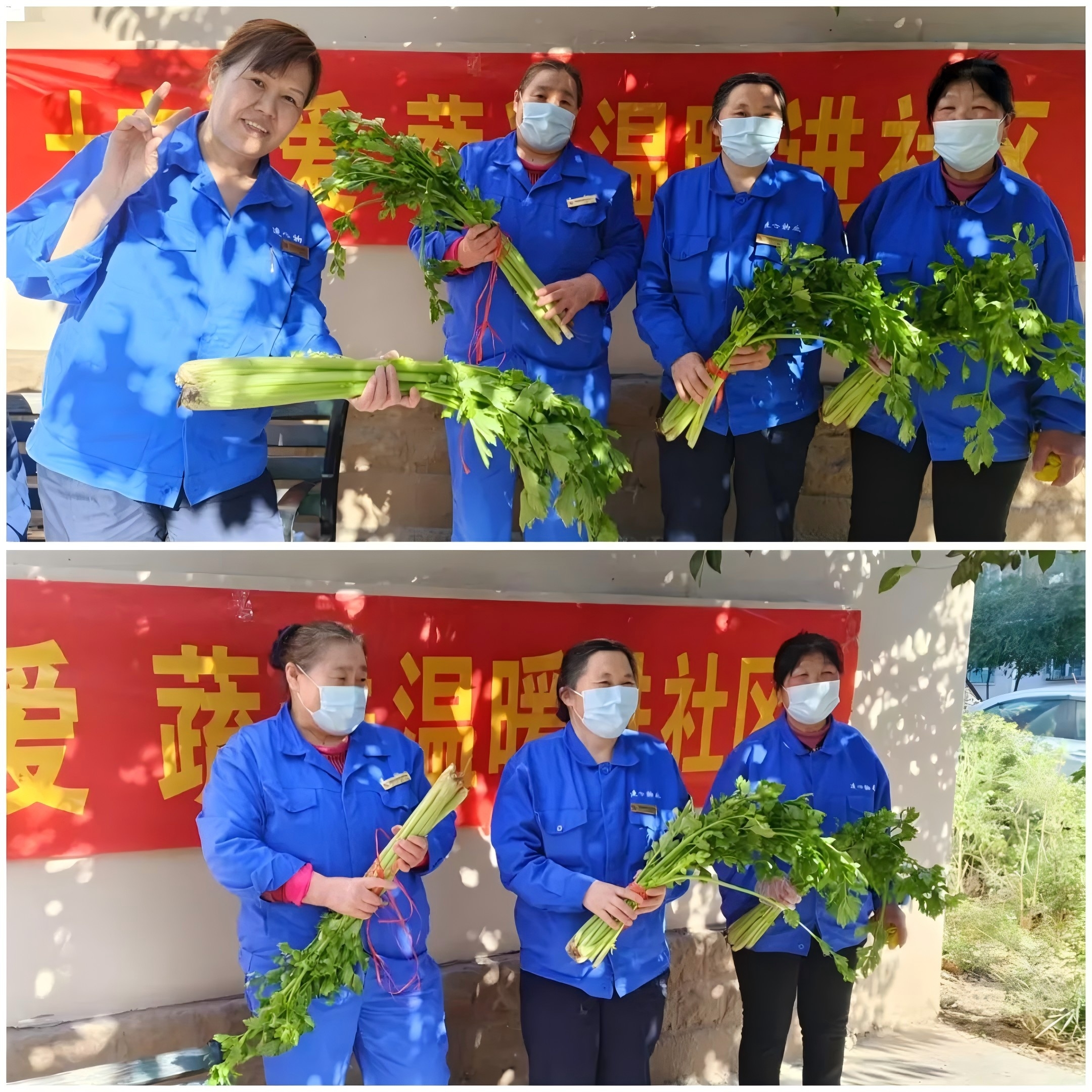 連心物業(yè)駐山東電力中心醫(yī)院項目部與社區(qū)聯(lián)辦“蔬菜送溫暖”活動